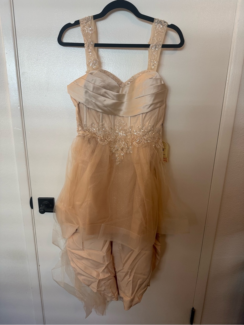 Women’s High-Low Tulle Dress in Champagne